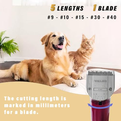 [2 Pack] 5-in-1 Replacement Clipper Blade, Detachable & Adjustable Dog Grooming Blade Compatible with Wahl Arco, Bravura, Chromado, Creativa, Figura, Motion & SuperGroom (Silver) - color: Silver, size: 2 Pack