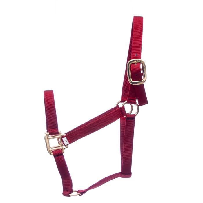 Jeffers Premium Nylon Weanling Horse Halters, 3 Ply, 1", Adjustable Equine Halter with Double Bar Buckle & Cast Hardware, Durable Nylon Horse Tack for Training, Grooming & Stable Use - Red - color: Red