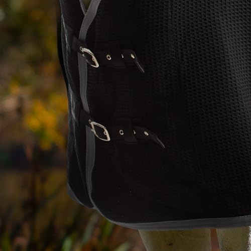 Equinavia Luftig Waffle Cooler | 100% Cotton - Black - 68 in - color: Black, size: 68 in