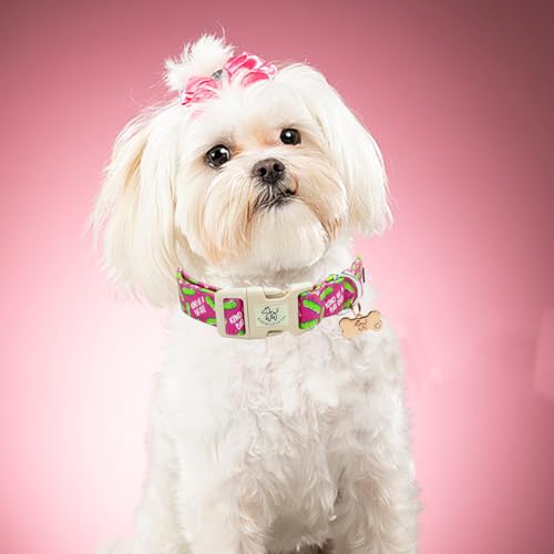 Elegant little tail Dog Collar, Dill Pickle Print Pink Puppy Male Adjustable Cotton Pet Collar with Quick Release Buckle for Small Medium Large Dogs - color: Pink Dill Pickles, size: X-Small (Pack of 1)
