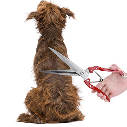 Generic Manual Stainless Steel Sheep Shears, with Spring Loaded Detachable Blade, for Livestock Trimming Shearing Sheep Rabbits Horses Pets