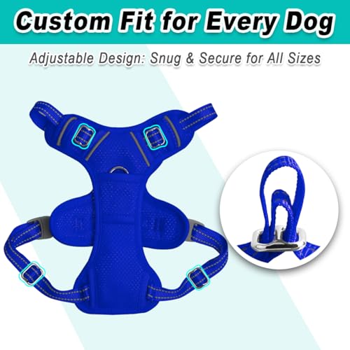 BARKBAY Dog Harness for Small Sized Dog No Pull Mesh 2 Clips Dog Vest - color: Sapphire Blue-Mesh, size: X-Small