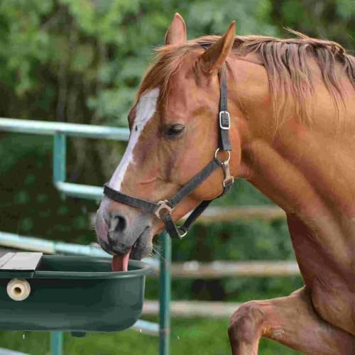 Plastic Automatic Water Bowl with Stainless Steel lid & Float Valve