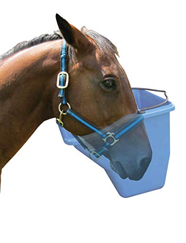 Little Giant® Plastic Better Bucket | Horse Feed Bucket | Ergonomically Designed | Flat Back Bucket | Made in USA | 20 Quarts | Blue - color: Blue, size: 20 Quarts