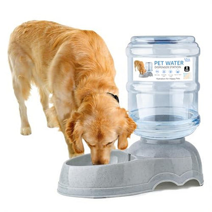3 Gallon Large Dog Water Dispenser, Automatic Gravity Pet Waterer Station for Large Dogs and Multiple Pets, Indoor/Outdoor Dog Water Bowl with Anti-Slip Base, BPA-Free, Grey