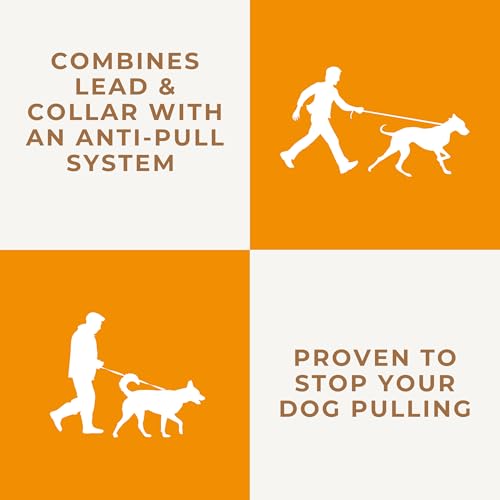 Dog & Field Long Dog Leash for Dog Training - 20ft. Long Line Leash, Soft Braided Nylon Rope. Extra Long Lead for Dogs, for Running, Camping, Yard & Hiking, Suitable for All Breeds, 20ft