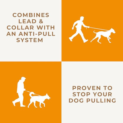 Dog & Field Long Dog Leash for Dog Training - 20ft. Long Line Leash, Soft Braided Nylon Rope. Extra Long Lead for Dogs, for Running, Camping, Yard & Hiking, Suitable for All Breeds, 20ft