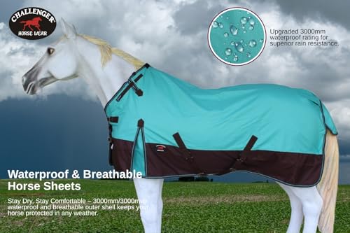 Challenger 1200D Turnout Rain Horse Sheet Light Winter Blanket 371 - color: Turquoise Brown, size: 76 inches