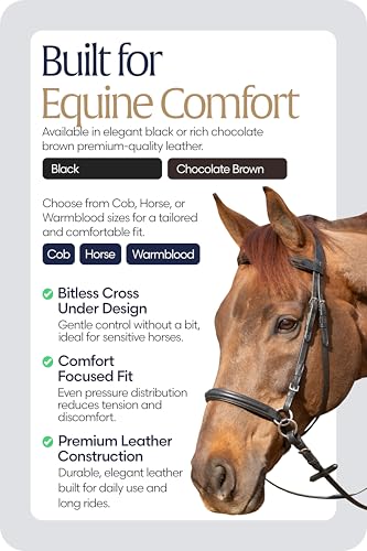 Equinavia Saga Leather Horse English Bridle, Stainless Steel Hardware Reins - color: Black, size: Warmblood