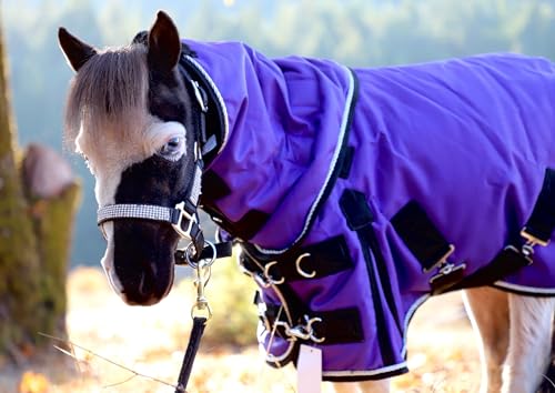 Mini-Pony Horse Ripstop Waterproof Windproof Blanket Hooded Lightweight Turnout Rain Sheet Breathable Lining 1200 Denier Material 350 Fill (46-48", Raspberry) - color: Raspberry, size: 46-48"