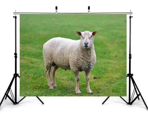 5x4ft Fabric White Wool Sheep Backdrop Fresh Green Grass Pasture Farm Animal Photography Background Tapestry Party Farm Decorations Photo Booth Props - size: 5x4ft