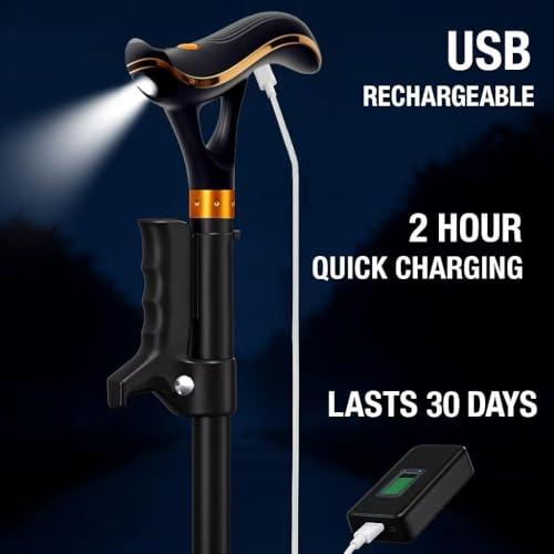 Foldable Walking Cane for Seniors with Dual Handle LED Light & Alarm