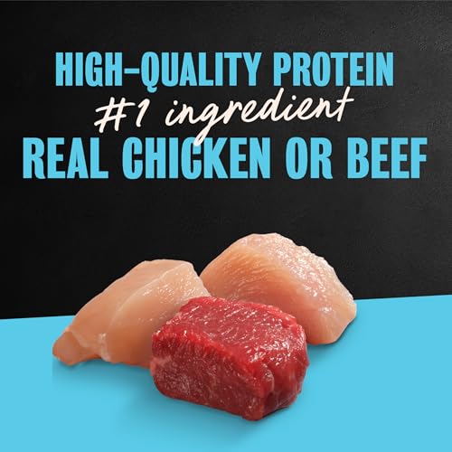 Cesar Loaf and Delights Wet Dog Food, Variety Lovers Pack, 3.5 oz, 36 Count | Real beef or chicken #1 ingredient, no fillers or artificial flavors, easy to digest, slow-cooked, easy-peel trays - size: 36 Count (Pack of 1)