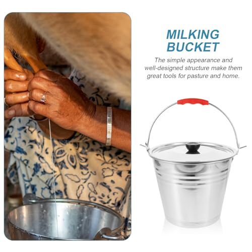 Hemoton Stainless Steel Bucket with Lid 5.5 Qt Multi-Purpose Household Water Bucket for Milking Dairy Storage and Compost Use with Comfortable Handle