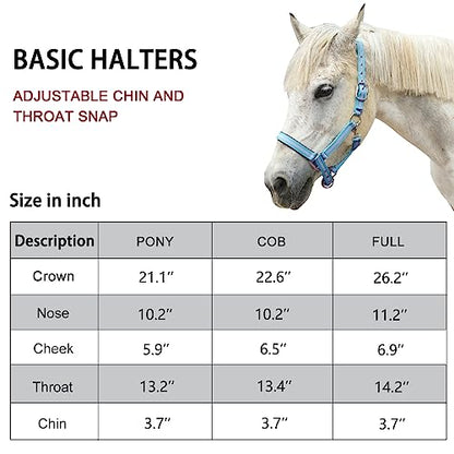 Adjustable Horse Halters - Heavy Duty Nylon Webbing & Hardware, Padded with Anti Chafing Foam-Cushioned on Crown & Nose - color: Light Blue, size: Cob