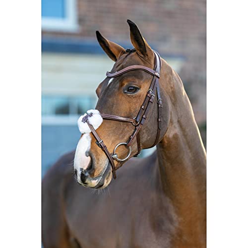 LeMieux Arika Grackle Bridle - color: Havana/Silver, size: Full