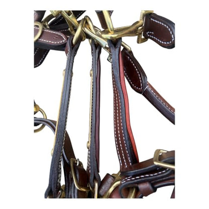 Leaders Premium Padded Leather Horse Halter - Exclusive Pre-Oiled Aniline Leather with Lacquered Solid Brass Hardware & Machined Structural Rings - size: Cob Size with Name Plate