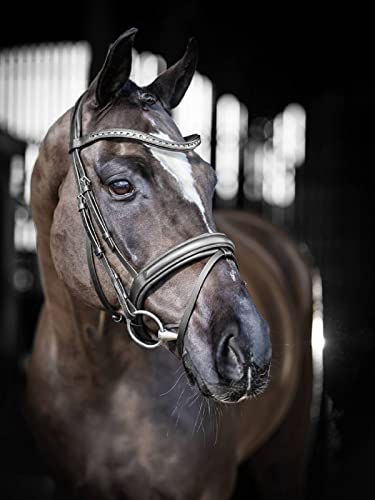 LeMieux Arika Dressage Bridle - color: Black/Silver, size: Pony