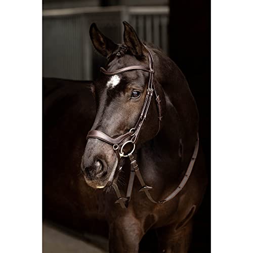LeMieux Arika Drop Bridle - color: Brown/Silver, size: Pony