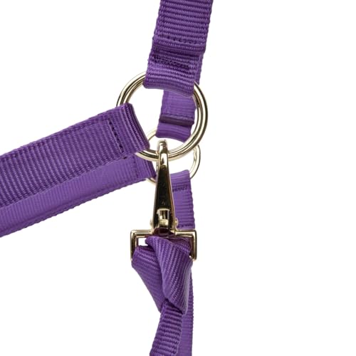 Shires ARMA Adjustable Nylon Halter - color: Purple, size: Cob