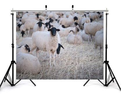 5x4ft Fabric Black Face Sheep Herd Backdrop Flock of Wool Sheep On Dry Grass Field Photography Background Tapestry Party Farm Animal Decorations Photo Booth Props - size: 5x4ft
