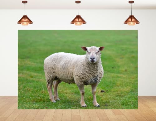 5x4ft Fabric White Wool Sheep Backdrop Fresh Green Grass Pasture Farm Animal Photography Background Tapestry Party Farm Decorations Photo Booth Props - size: 5x4ft