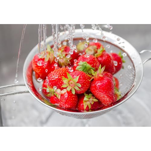 HIC Kitchen Fine Double Mesh Strainer, 18/8 Stainless Steel, Set of 2, Includes 5-Inch and 7-Inch Strainer - size: Double Mesh, Set/2 (5, 7-Inch)