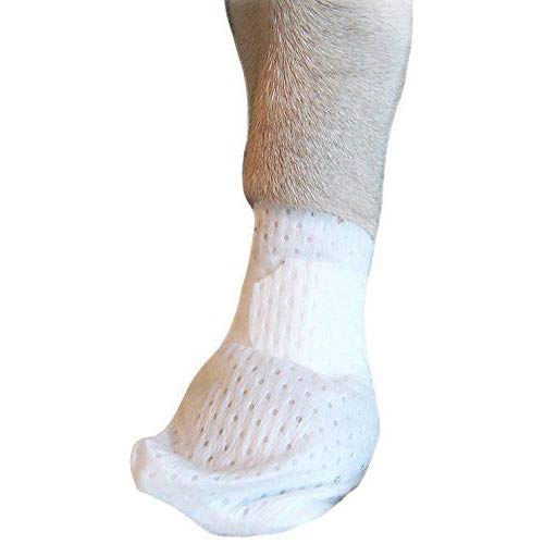 Medimitt Paw Bandages for Dogs, Cats and Pets – Stretchy Medical Booties, First Aid for Paws – Non Slip, Non Adhesive, Breathable, Disposable, Washable, Adjustable Strap, 12 Pack (Large) - size: Large 12-Pack
