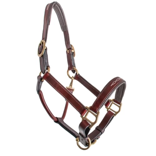 Country Pride Premium Padded Leather Halter, Quality Leather, Padded Noseband and Crown, Fancy Stitching, Solid Brass Hardware, Adjustable Chin, Double Crown, Comfortable Halter, Barn or Show Use - size: Large Horse