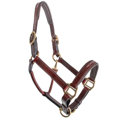 Country Pride Premium Padded Leather Halter, Quality Leather, Padded Noseband and Crown, Fancy Stitching, Solid Brass Hardware, Adjustable Chin, Double Crown, Comfortable Halter, Barn or Show Use - size: Large Horse