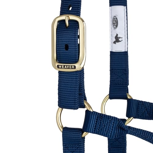 Weaver Leather Supply Original Non-Adjustable Nylon Horse Halter, Average, Navy