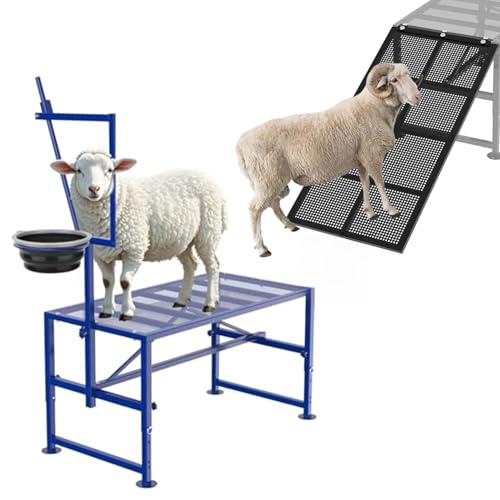 Goat Milking Stand Blue with Removable Feed Bin and Black Goat Ramp for Our Goat Stand 600 Lbs