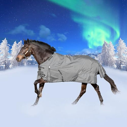 Equinavia Arktis Regular Neck Heavy Turnout Blanket 300g - Carbon Grey - 75 in - color: Carbon Grey, size: 75 in