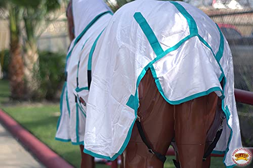 HILASON Horse Fly Sheet Breathable Mesh UV Protection Mosquito Bug Summer - color: White With Turquoise Piping, size: 75 In