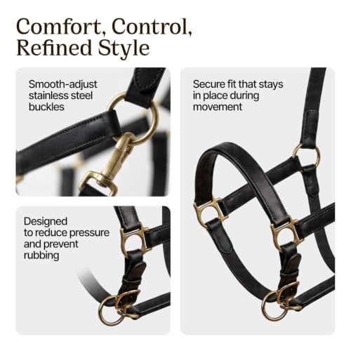 Genuine Leather Horse Halter – Padded Crown, Brass Hardware