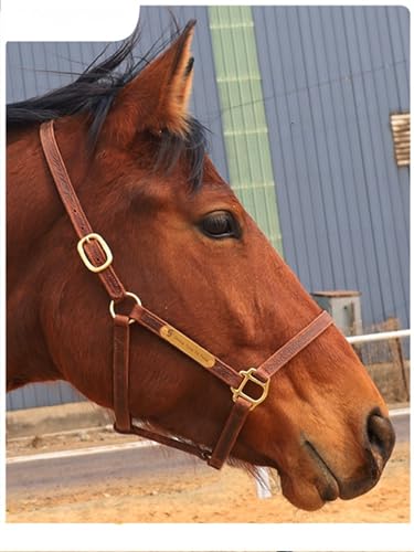 J7 Adjustable Full-Grain Leather Horse Halter with Breakaway Crown Padded Noseband & Cheek Straps Durable Everyday Halter for Training & Turnout