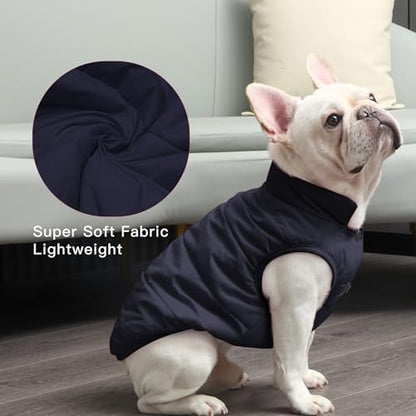 JoyDaog Fleece Lined Dog Jacket for Small Dogs,Winter Dog Coat,Blue M - color: Blue, size: Medium