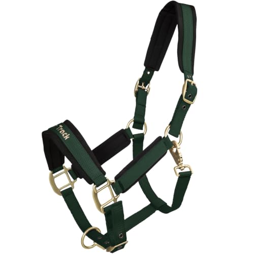 BACK ON TRACK Werano Cob Halter - color: Green, size: Cob