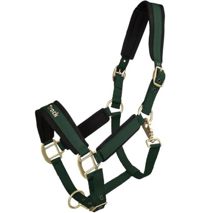 BACK ON TRACK Werano Cob Halter - color: Green, size: Cob