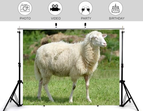 17x10ft Fabric Fluffy Wool Sheep Backdrop White Curly Coat Lush Bright Green Grass Blurred Wild Bush Pasture Background Tapestry Party Farm Birthday Wall Decorations Photo Booth Props - size: 17x10ft