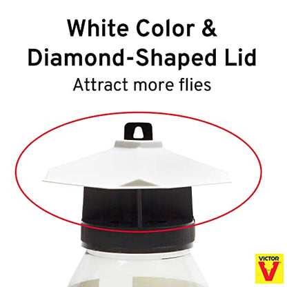 Terro T380 Outdoor Reusable Fly Magnet Fly Trap - Poison Free Trap with Bait (Pack of 2)