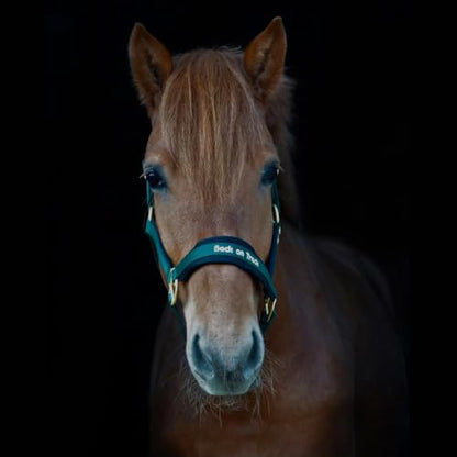 BACK ON TRACK Werano Cob Halter - color: Green, size: Cob