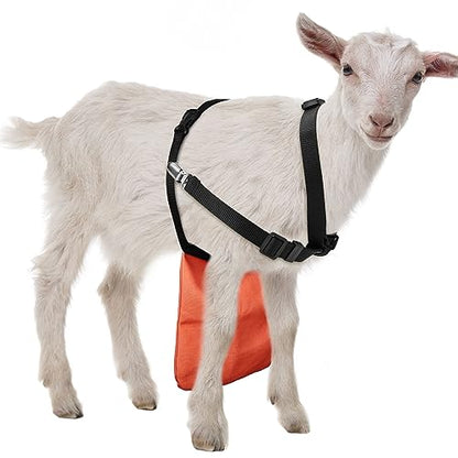 Kajaia Goat Apron Anti Breeding Sheep Skirt - color: Orange, size: Medium