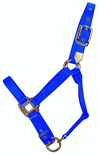 Hamilton Deluxe Adjustable Horse Halter, 300-500 lbs, Blue - color: Blue, size: Yearling, 300-500lbs