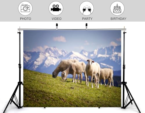 4x4ft Fabric Snow Peak Sheep Meadow Backdrop White Wool Sheep Green Hillside Bright Cloudy Sky Background Tapestry Party Alpine Grassland Decorations Photo Booth Props - size: 4x4ft