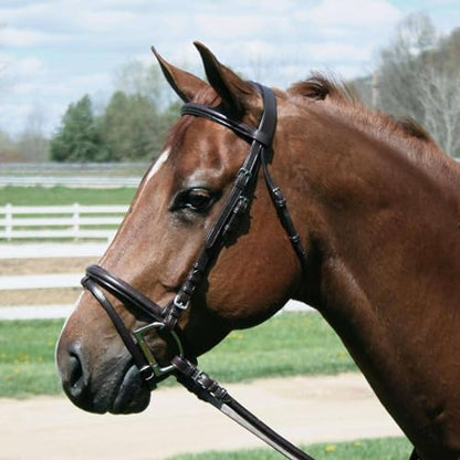 Derby Originals Paris Tack MacMillan Dressage Bridle with Laced Reins – Premium Drum-Dyed Leather English Horse Bridle, Padded Flash Noseband, Stainless Steel Hardware, Black