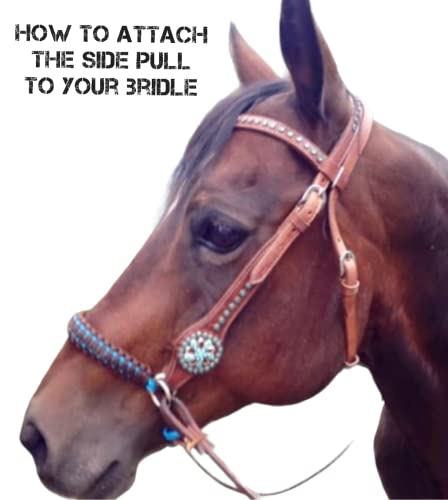 Side Pull Hackamore bitless Bridle Attachment Black Horse tack