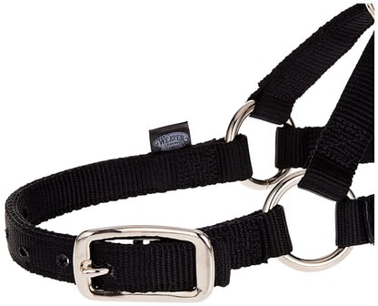 Weaver Livestock Llama Halter, Black, Small (35-7085-BK)