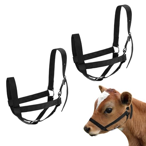 M METERXITY 2-Pack Adjustable Cattle Cow Calf Halter, 15.74"-19.68" Nylon Livestock Cow Halter for Miniature Horse/Donkey/Goat/Cattle [Black]