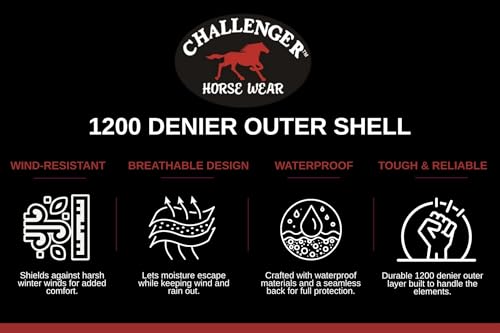 Challenger 1200D Turnout Waterproof Rain Horse Sheet Light Winter Blanket 378B - color: Turquoise Aztec, size: 84 inches